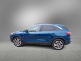 Used 2020 Ford Escape SEL image 5