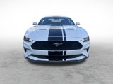Used 2022 Ford Mustang Premium w/ Equipment Group 201A image 2