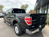 Used 2014 Ford F150 XLT w/ Equipment Group 301A Mid image 5