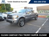 Used 2014 Ford F150 FX4 image 3