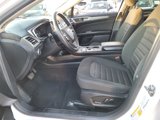 Used 2020 Ford Fusion SE image 3
