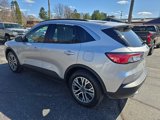 Used 2020 Ford Escape SEL image 3