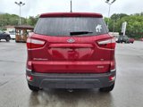 Used 2020 Ford EcoSport SE w/ SE Convenience Package image 5