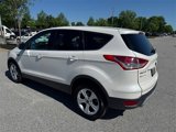 Used 2014 Ford Escape SE image 4