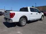 Used 2023 Ford F150 XLT image 4