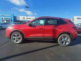 New 2025 Ford Escape ST-Line w/ Cold Weather Package image 4
