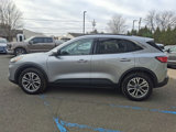 Certified 2022 Ford Escape SEL image 4