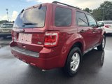 Used 2011 Ford Escape XLT w/ 201A Rapid Spec Order Code image 5