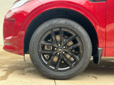 Used 2025 Land Rover Discovery Sport S image 6