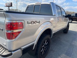 Used 2010 Ford F150 Platinum image 5