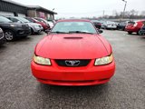 Used 2000 Ford Mustang GT image 4