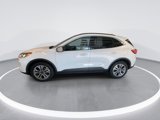 Used 2020 Ford Escape SEL image 5