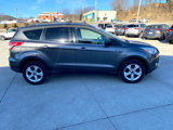 Used 2013 Ford Escape SE image 5