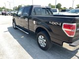 Used 2013 Ford F150 XLT w/ Luxury Equipment Group image 3