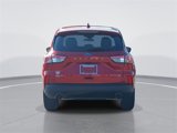 Used 2021 Ford Escape SE w/ SE Sport Appearance Package image 4