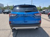 Certified 2020 Ford Escape SE image 5