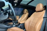 Used 2019 BMW X3 xDrive30i w/ Executive Package image 6