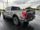 Used 2023 Ford F150 XLT w/ Equipment Group 302A High image 4