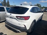 Used 2020 Ford Escape SEL image 5
