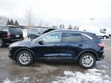 Used 2021 Ford Escape SE w/ Convenience Package image 4
