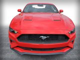Used 2021 Ford Mustang Coupe image 5