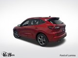 Used 2024 Ford Escape ST-Line w/ Tech Pack #1 image 3