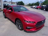 Used 2024 Ford Mustang Premium image 4