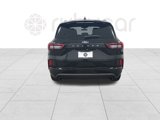 Used 2023 Ford Escape ST-Line w/ Cold Weather Package image 4