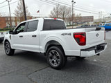 Used 2024 Ford F150 STX image 4