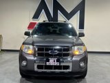 Used 2010 Ford Escape Limited image 2