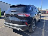 Used 2020 Ford Escape SEL image 5