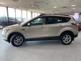 Used 2018 Ford Escape SE w/ Ford Safe & Smart Package image 4