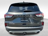 Used 2020 Ford Escape Titanium image 4