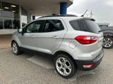 Used 2021 Ford EcoSport SE w/ SE Appearance Package image 5