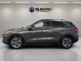 Used 2020 Ford Escape SEL image 2