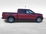 Used 2019 Ford F150 Limited w/ Trailer Tow Package image 5