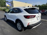 Certified 2024 Ford Escape Active image 4
