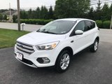 Used 2019 Ford Escape SE image 4