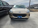 Used 2020 Ford Escape SE image 2