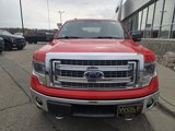 Used 2014 Ford F150 XLT image 4
