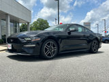 Used 2020 Ford Mustang Coupe w/ Equipment Group 101A image 5