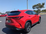 Used 2024 Lexus NX 250 FWD image 4