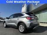 Used 2022 Ford Escape SE w/ Cold Weather Package image 4