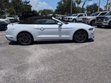 Used 2023 Ford Mustang Premium image 2