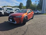 Used 2019 Lexus UX 200 w/ Premium Package image 3