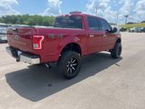 Used 2015 Ford F150 XLT w/ Equipment Group 301A Mid image 5