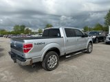 Used 2013 Ford F150 Platinum image 3