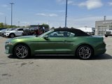 Used 2023 Ford Mustang Premium image 5