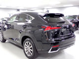 Used 2019 Lexus NX 300h AWD image 3
