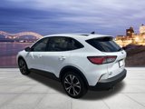 Used 2022 Ford Escape SE w/ SE Sport Appearance Package image 3